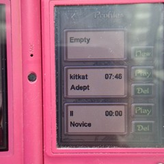 Nintendo DSi Pink Console Plus Wordmaster Game AUS PAL – Working – USB Charging