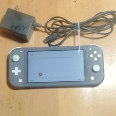 Nintendo Switch Lite Gray Handheld Console HDH-001 32GB Wi-Fi USB-C Charger