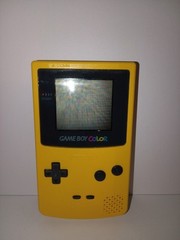 Nintendo Game Boy Color Handheld System – Dandelion