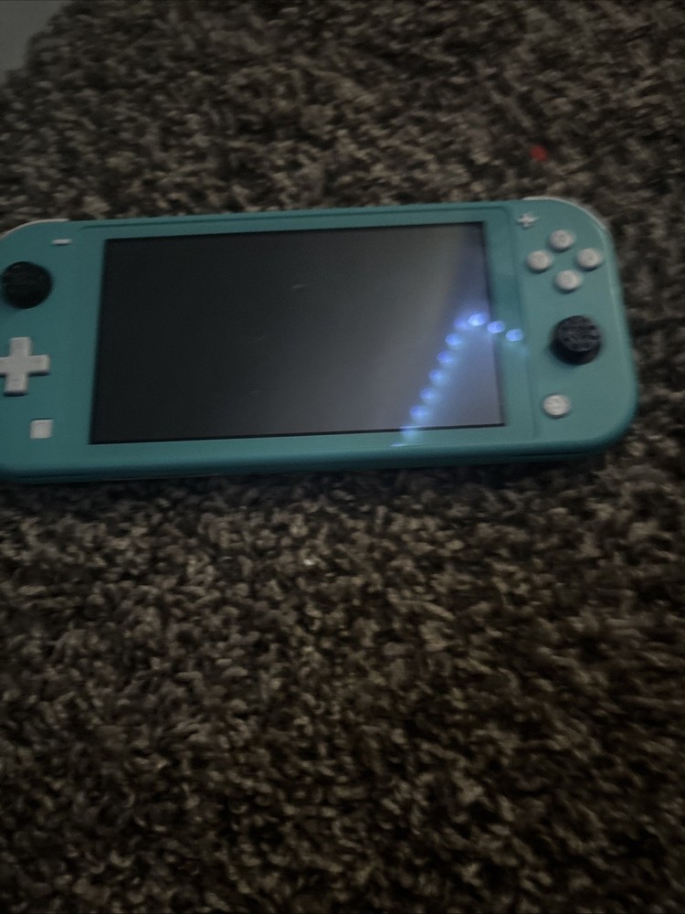 E107 Nintendo Switch Lite console light Blue SW Japan w/box adapter safety guide
