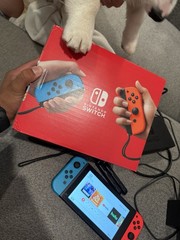 Nitendo Switch Video Game Console