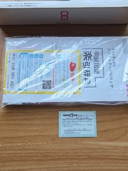 Nintendo DSi XL Yellow Game Console With Box, Charger, And Stylus Japan Region