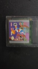 Nintendo Game Boy Advance Gaming Console with 2 games