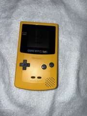 Nintendo Game Boy Color Handheld System – Dandelion