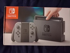 Nintendo Switch 32GB Console with Gray Joy‑Con (Used)