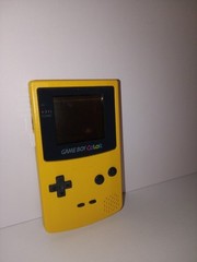 Nintendo Game Boy Color Handheld System – Dandelion