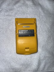 Nintendo Game Boy Color Handheld System – Dandelion